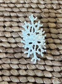 Sterling Silver Coral