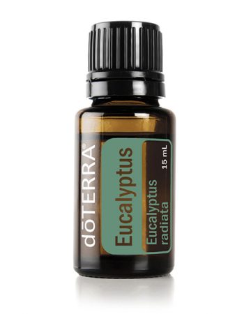 Eucalyptus Doterra