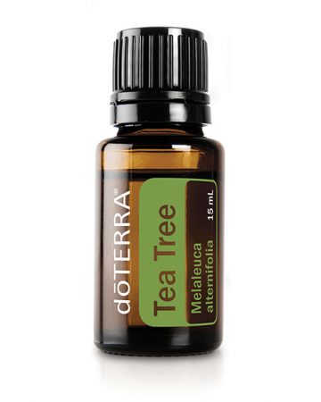 Tea Tree Doterra