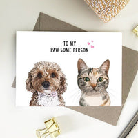 Animal Greeting Cards - Assorted